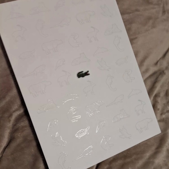 Rare lacoste Iguana save our species - Picture 7 of 10